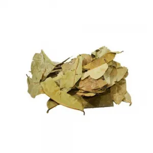 Graviola – 100g