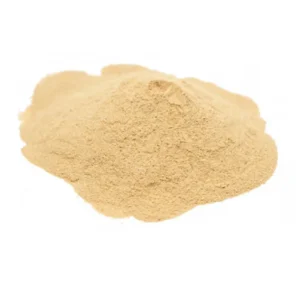 Levedo de Cerveja – 100g