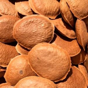 Semente de Sucupira – 100g